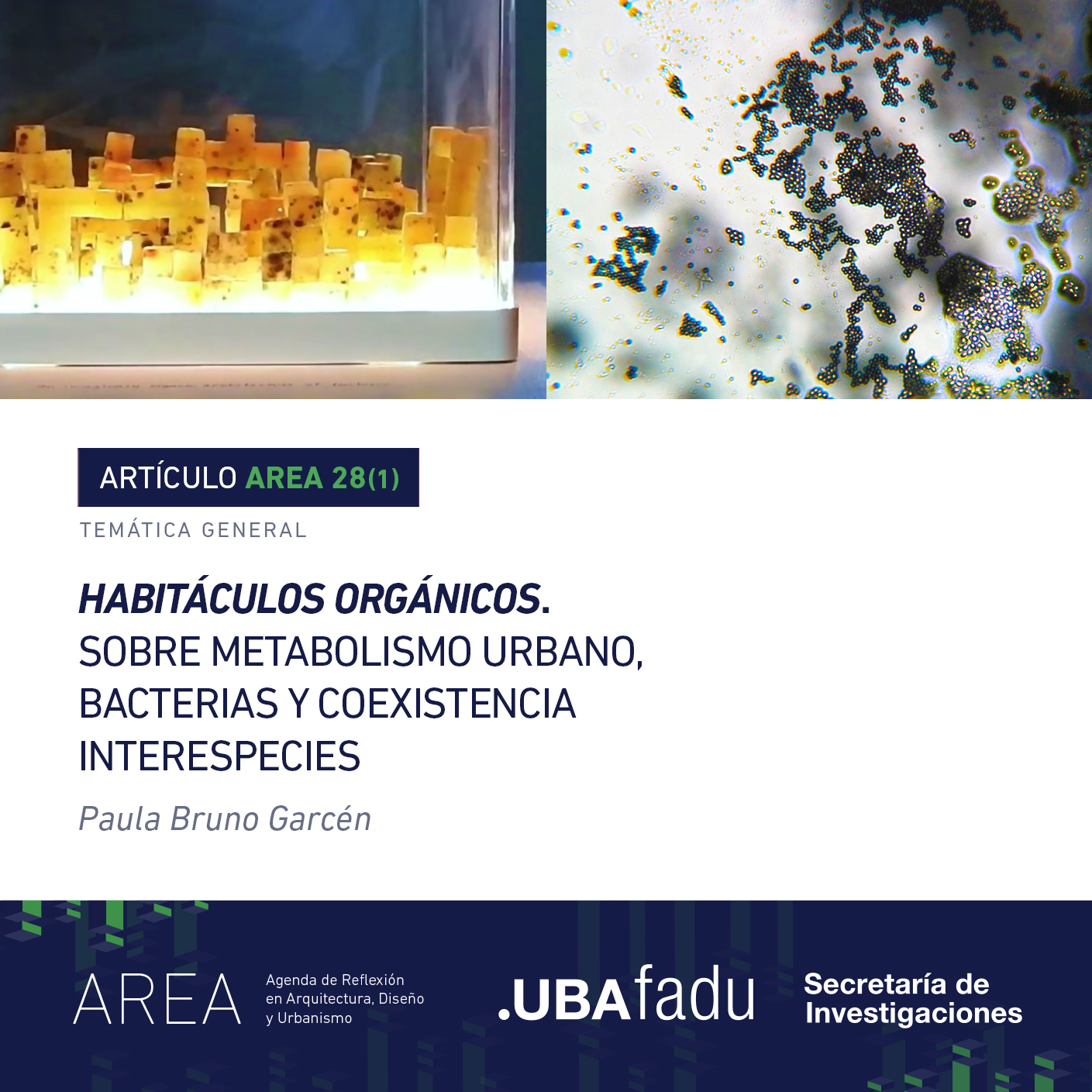 Portada de Articulo de Bruno Garcén AREA 28(1)